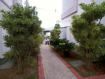 Apartamento com 2 dormitórios, 43 m² venda por R$ 195.000,00 ou aluguel por R$ 1.480,83/mês Cagu