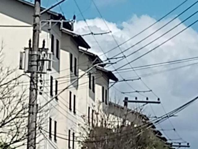 Apartamento com 2 dormitórios à venda, 40 m² por R$ 220.000 Parque Uirapuru