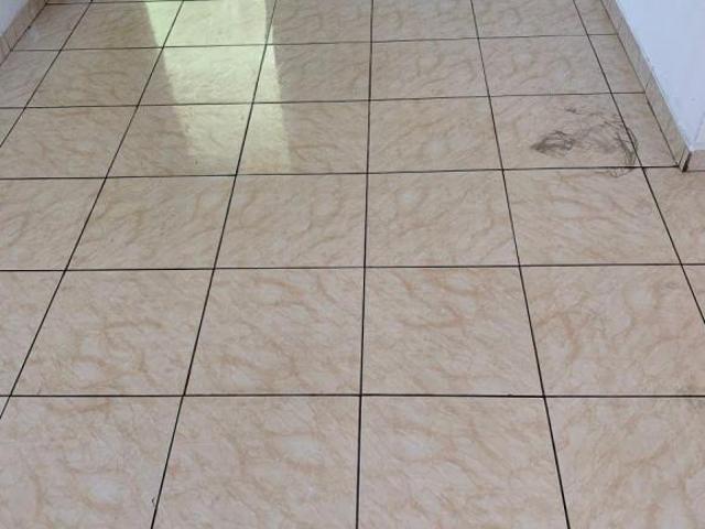 Apartamento com 2 dormitórios, no 3° andar, uma vaga de garagem