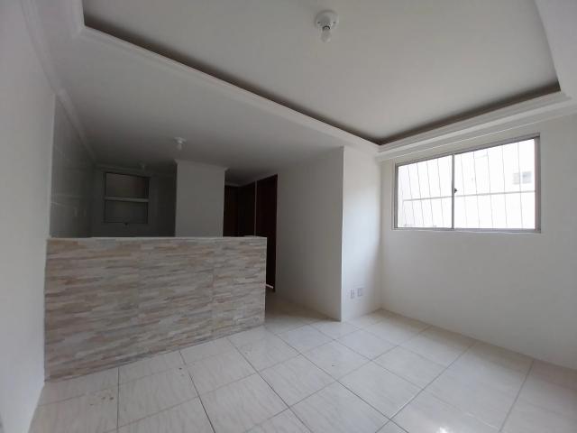 Apartamento com 2 dormitórios para alugar, 39,05 m² Bairro São João Batista São Leopoldo/RS