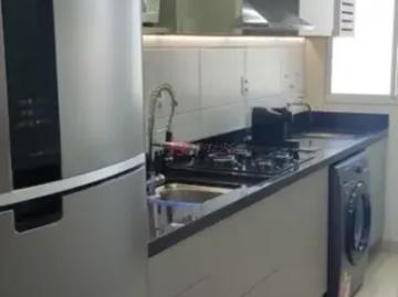 Bairro Alto, Pinhais, Balneário Piçarras