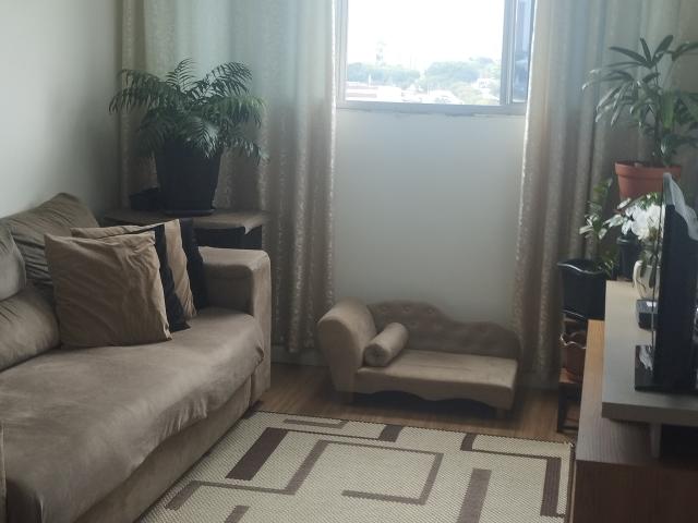 Apartamento com 2 quartos na rua Lealdade