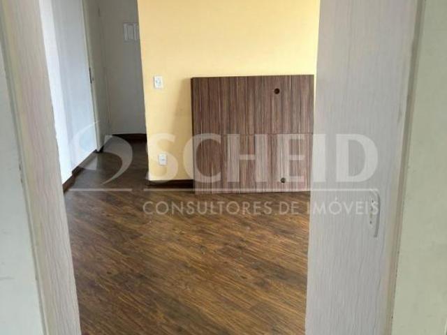Apartamento com 2 Quartos á venda, 1 vaga, 52m² Campo Grande São Paulo SP