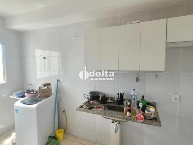 Apartamento com 2 quartos disponível para venda no bairro Dona Zulmira em Uberlândia MG