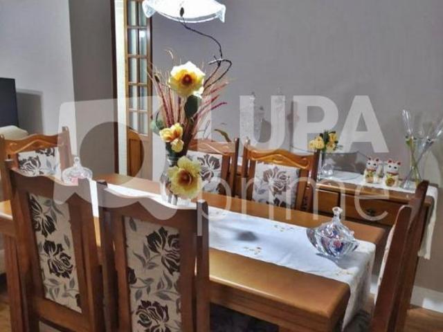 APARTAMENTO COM 2 QUARTOS E 1 VAGA DE GARAGEM PARA VENDA, JARDIM ANDARAÍ, SÃO PAULO