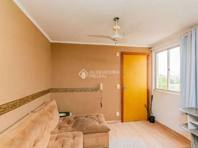 Apartamento com 2 quartos para alugar na Avenida Juscelino Kubitschek de Oliveira, 340, Protásio Alves, Porto Alegre, 38 m2 por R$ 1.450