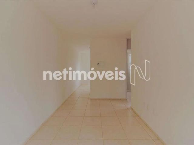 Apartamento com 2 quartos para alugar na Rua Aloísio Aragão Villar, Trevo, Belo Horizonte