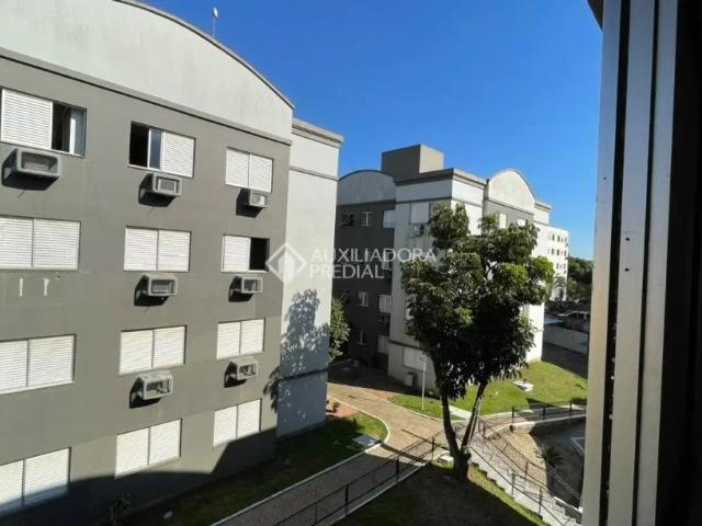 Apartamento com 2 quartos para alugar na Rua Ernesto Gomes, 775, Passo das Pedras, Gravataí, 53 m2 por R$ 1.300