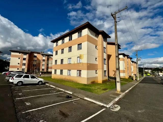 Apartamento com 2 quartos para alugar na Rua Pedro Plantes dos Anjos, 200, Santo Antônio, São José dos Pinhais