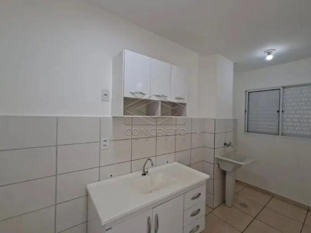 Apartamento com 2 quartos para alugar no Jardim Alvorada, Jaú