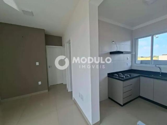 Apartamento com 2 Quartos para alugar, 54m² Nova Uberlândia