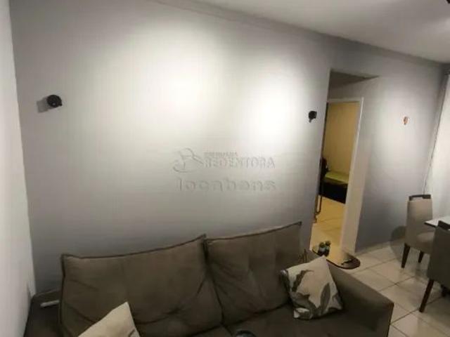 Apartamento com 2 Quartos para alugar, 50m² Residencial Ana Celia
