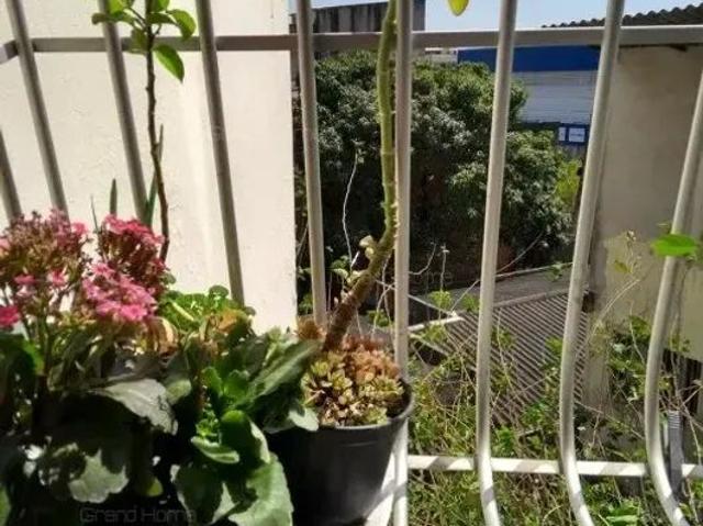 Apartamento com 2 Quartos para alugar, 53m² Itapuã