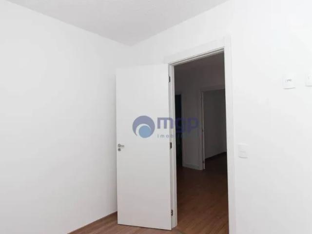 Apartamento com 2 quartos, 35 m² venda ou aluguel Vila Guilherme São Paulo/SP
