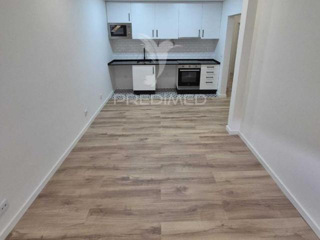 Apartamento completamente remodelado equipado top