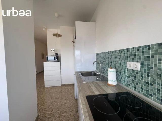 Apartamento con piscina en alquiler en Calle Calle Rogelio Oliva