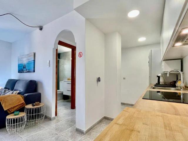 Apartamento con piscina en alquiler en Calle Pins 1