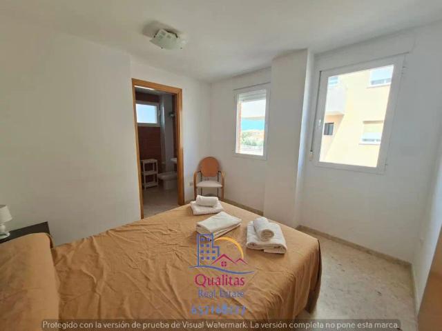 Apartamento con piscina en alquiler en Oliva Playa