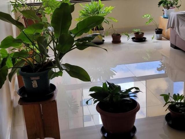 APARTAMENTO CSB 04 EDIFICIO NÍCIA TAGUATINGA SUL OPORTUNIDADE AC.FINANC