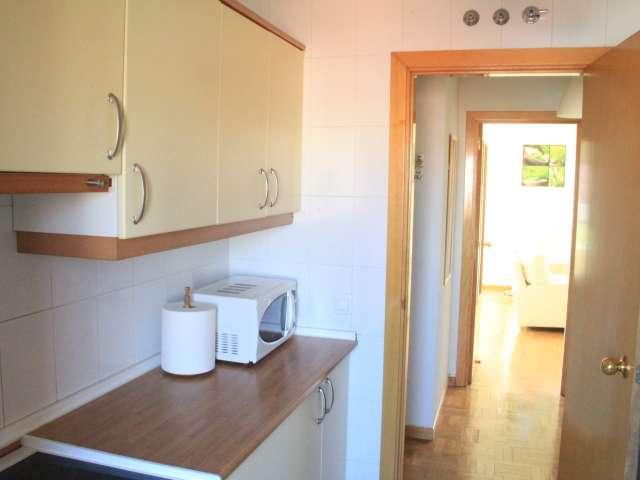 Apartamento de 4 dormitorios en Embajadores, Madrid