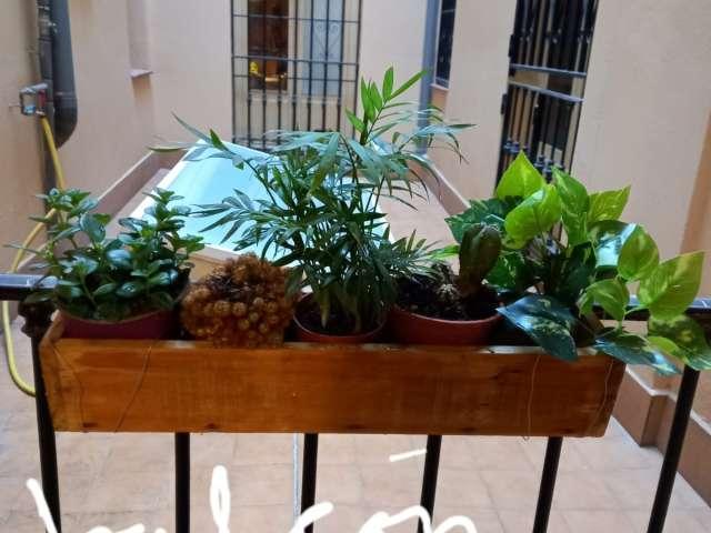Apartamento de 5 dormitorios en alquiler en Justicia, Madrid