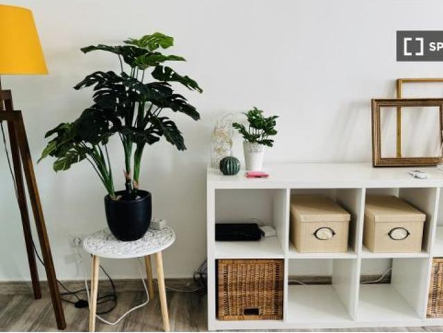 Apartamento de 1 dormitorio en alquiler en Cala Major, gastos incluidos