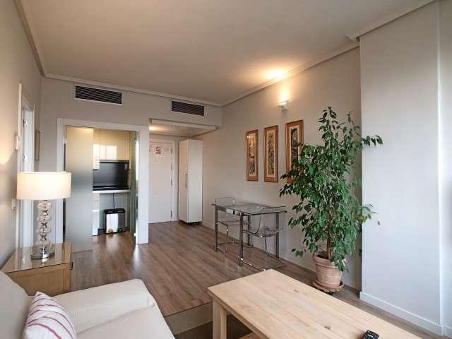 Apartamento de 1 dormitorio en alquiler en Castilla, Madrid