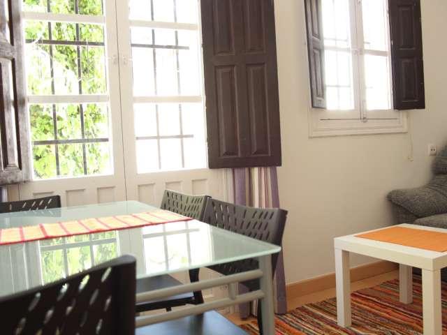 Apartamento de 1 dormitorio en alquiler en Albaycín, Granada