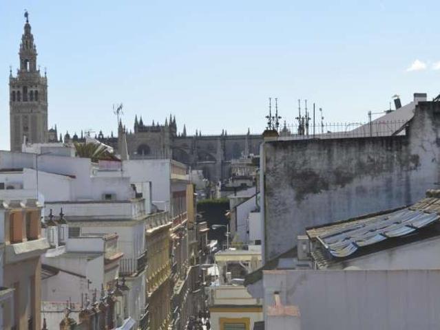 Apartamento de 1 dormitorio en alquiler en Alfalfa, Sevilla