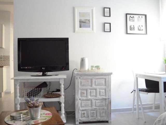 Apartamento de 1 dormitorio en alquiler en Alfalfa, Sevilla
