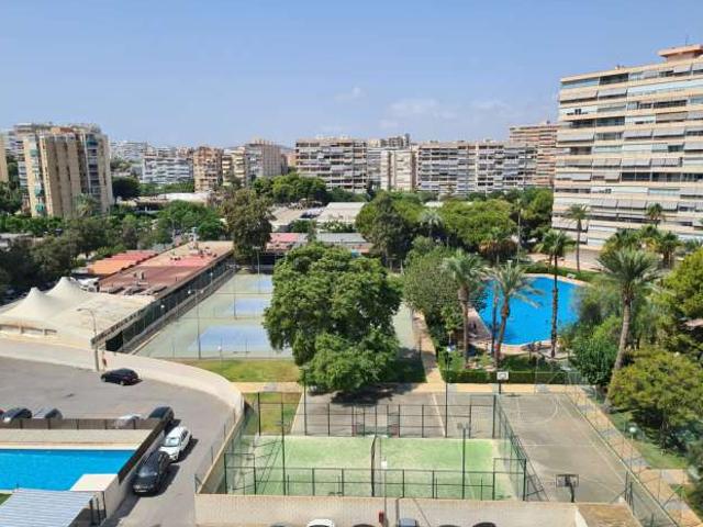 Apartamento de 1 dormitorio en alquiler en Alicante