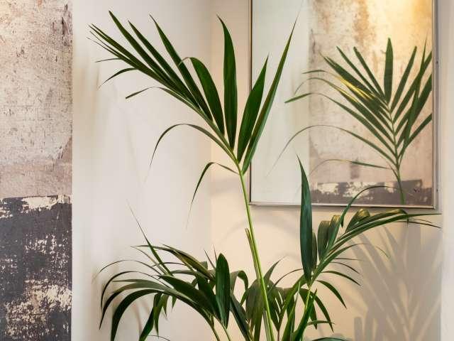 Apartamento de 1 dormitorio en alquiler en Barcelona