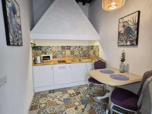 Apartamento de 1 dormitorio en alquiler en Granadilla de Abona