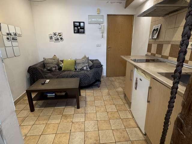 Apartamento de 1 dormitorio en alquiler en Embajadores, Madrid