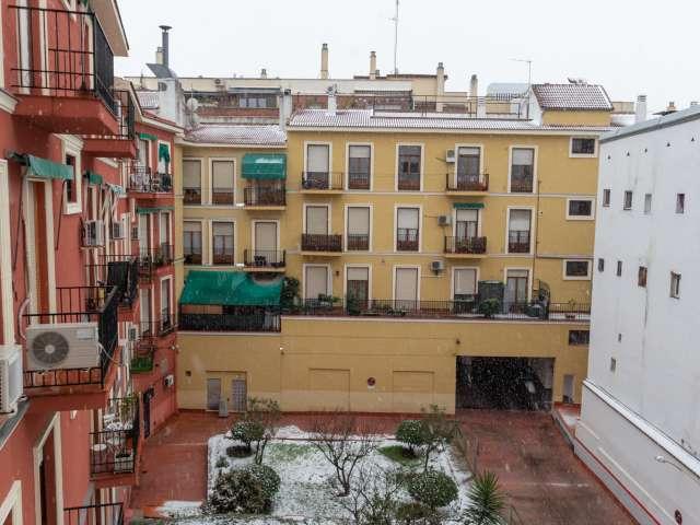 Apartamento de 1 dormitorio en alquiler en Embajadores, Madrid