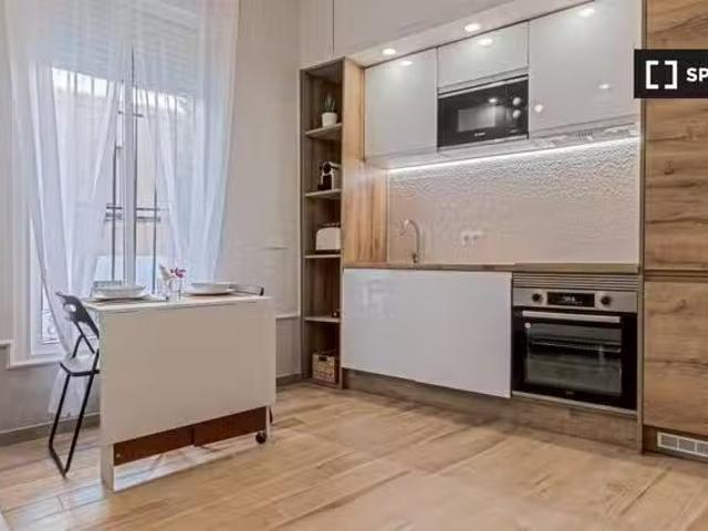 Apartamento de 1 dormitorio en alquiler en Embajadores, Madrid