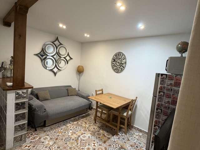 Apartamento de 1 dormitorio en alquiler en Embajadores, Madrid