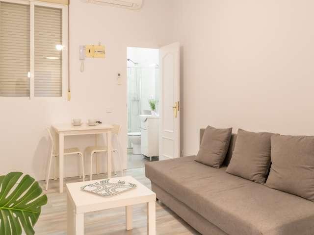Apartamento de 1 dormitorio en alquiler en Embajadores, Madrid
