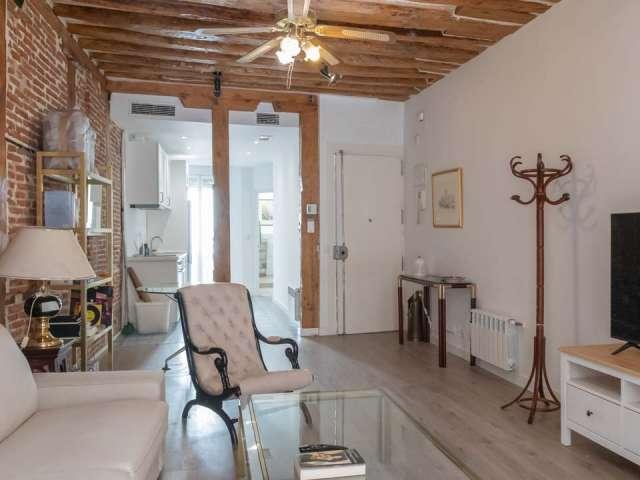 Apartamento de 1 dormitorio en alquiler en Embajadores, Madrid