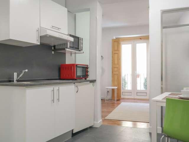 Apartamento de 1 dormitorio en alquiler en Embajadores, Madrid