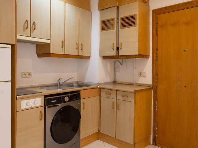Apartamento de 1 dormitorio en alquiler en Embajadores, Madrid