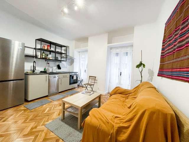 Apartamento de 1 dormitorio en alquiler en Embajadores, Madrid