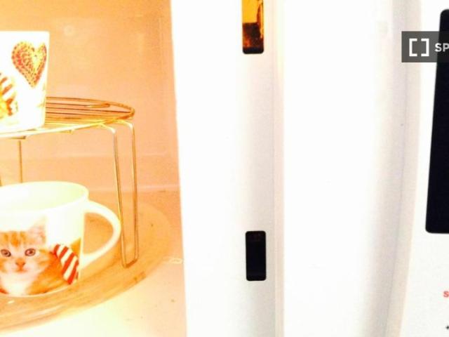 Apartamento de 1 dormitorio en alquiler en El Botánico, Valencia