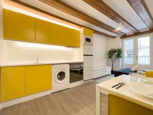 Apartamento de 1 dormitorio en alquiler en el Gótico, Barcelona