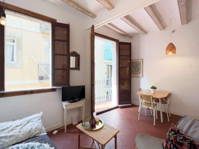 apartamento de 1 dormitorio en alquiler en El Raval, Barcelona