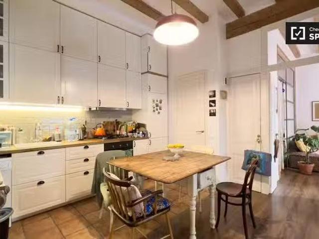 apartamento de 1 dormitorio en alquiler en El Raval, Barcelona