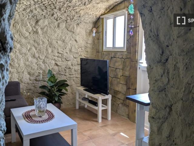 Apartamento de 1 dormitorio en alquiler en Fasnia