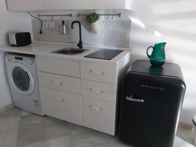 Apartamento de 1 dormitorio en alquiler en Feria, Sevilla