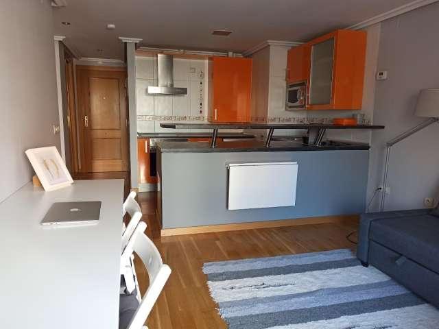 Apartamento de 1 dormitorio en alquiler en Huerta del Rey