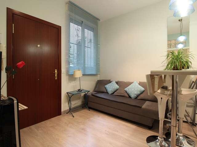 apartamento de 1 dormitorio en alquiler en Lavapiés, Madrid